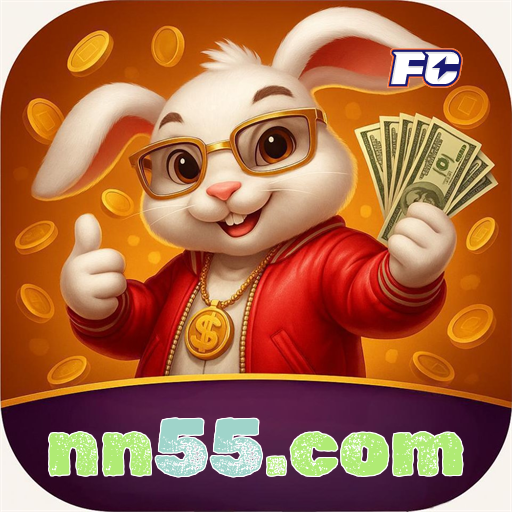 nn55.com